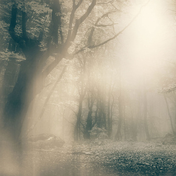 Tapeta Inkiostro Bianco MOONLIGHT INKNEHA2201