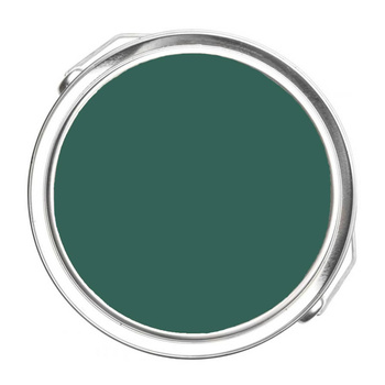 651 - Brazilian Rainforest Benjamin Moore