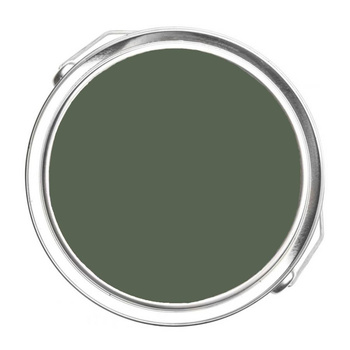 469 - Backwoods Benjamin Moore