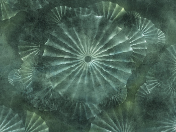 FOTOTAPETA ORLANDA 695 33 2202 WALLCRAFT