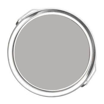 1460 - Silver Dollar Benjamin Moore