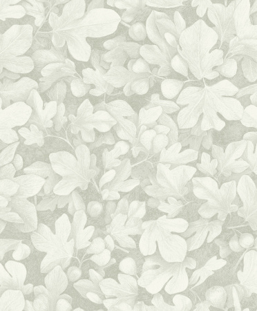 KEN104 - tapeta Ficus Kent Khroma – Khroma – zdjęcie produktu