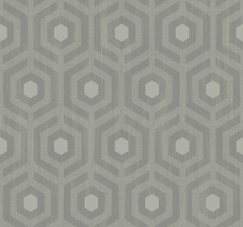 DG10407 - tapeta Hexagon Lattice Geometric Effects WallQuest