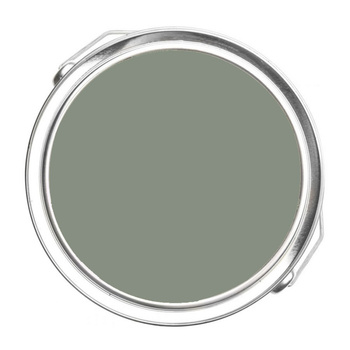 2138-40 Carolina Gull Benjamin Moore