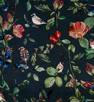 9500033 - tapeta Goldfinch Song Night Naturae Coordonne