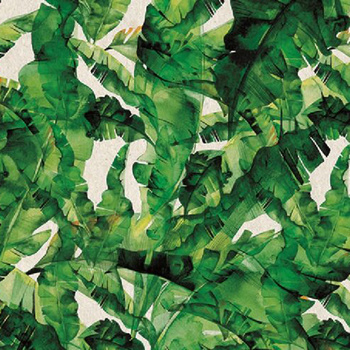 141_005 – fototapeta Taplab