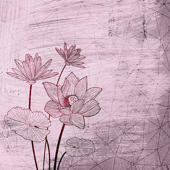 037_004 – fototapeta Taplab