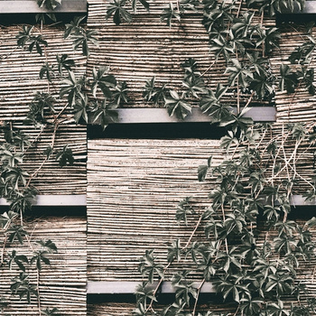 WET_VP2001 VOYAGE PRIVE - Fototapeta Wal&Deco WET