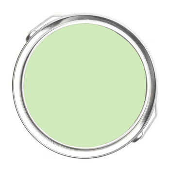 423 - Pine Sprigs Benjamin Moore