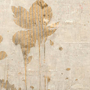 524_004 – fototapeta Timu Taplab