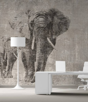 294_001 – fototapeta Taplab