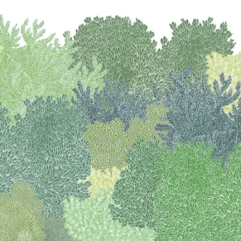 R16021 Hideaway - Fototapeta RebelWalls