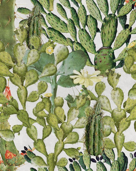 Tapeta Mind The Gap WP20166 OPUNTIA