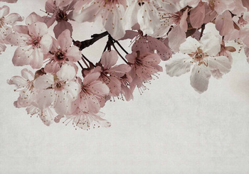 6800414 - panel Big Random Flora Pink Random Papers II Coordonne