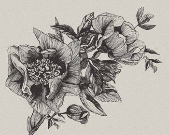 9500700 - panel Giant Peonies Ink Naturae Coordonne