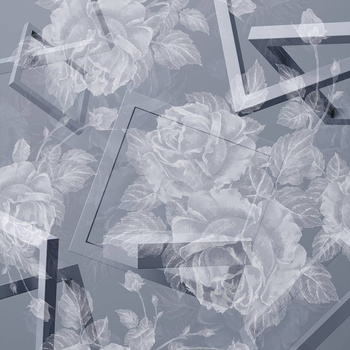 252_002 – fototapeta Taplab