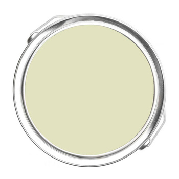 526 - Chameleon Benjamin Moore