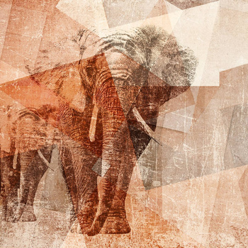 294_002 – fototapeta Taplab