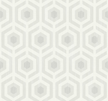 DG10403 - tapeta Hexagon Lattice Geometric Effects WallQuest