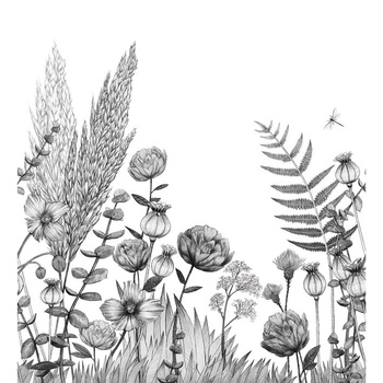 74931120 – panel Eclosion Panoramas Cassamance