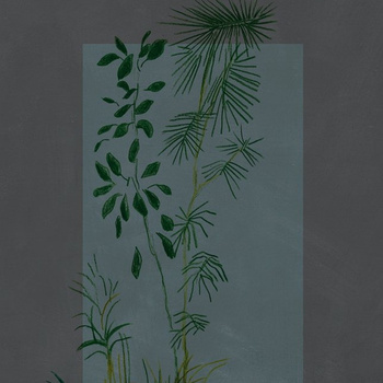 WDBC2002 – fototapeta Baja California  Contemporary 2020 Wall & Deco