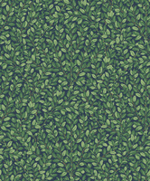 zielony