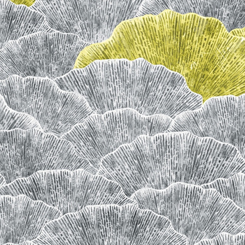 WET_GO1801 – fototapeta Goethe Wet System Wall&Deco