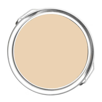 1108 - Chamois (1108) Benjamin Moore