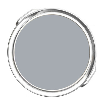 2120-50 Silver Spring Benjamin Moore