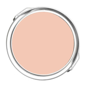 1198 - Antique Coral Benjamin Moore