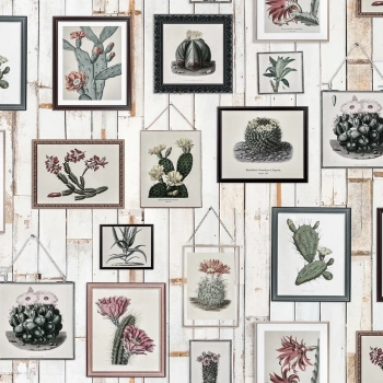 R15322 – fototapeta Cactus Wall Art, Faded Rebel Walls