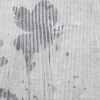 524_005 – fototapeta Timu Taplab