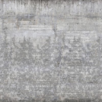 R13994 – fototapeta Climbing Clorofyl, Shadow Rebel Walls