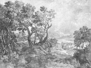 Tapeta sosnowy las Pino WallCraft 915312401