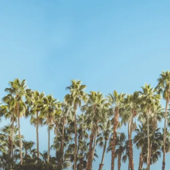 R16051 Riviera Daydream - Fototapeta RebelWalls