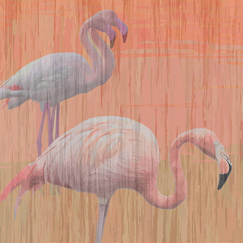 013_003 – fototapeta Taplab