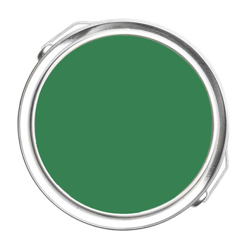 2036-20 Irish Moss Benjamin Moore