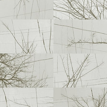 WDBH1702 – fototapeta Bois D'hiver Contemporary 2017 Wall & Deco