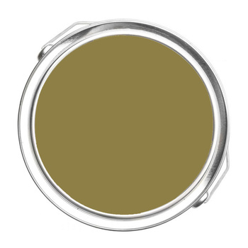 2149-10 Newt Green Benjamin Moore