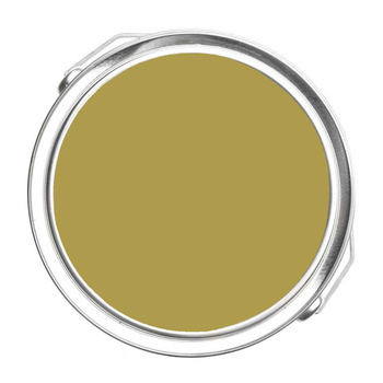 385 - Savannah Moss Benjamin Moore