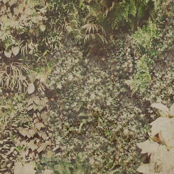 WDVG1503 – fototapeta Vertical Green Contemporary 2015 Wall & Deco