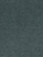 Non-woven