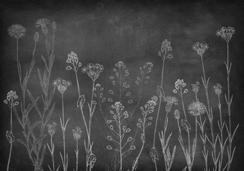 8500102 - panel Wild Chalk Instant Coordonne