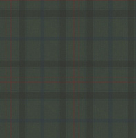 zielony