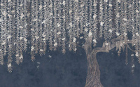 Non-woven
