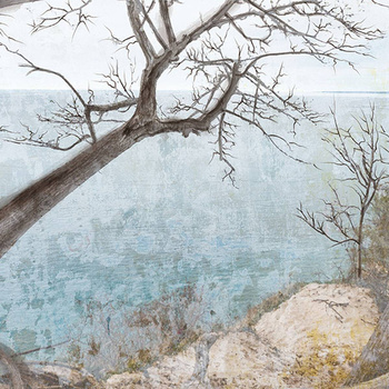 035_001 – fototapeta Taplab