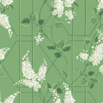 115/5016 – tapeta Wisteria Botanical Cole&Son