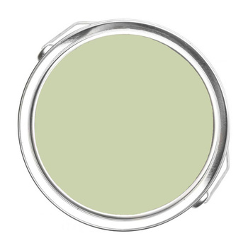 479 - Apple Blossom (479) Benjamin Moore