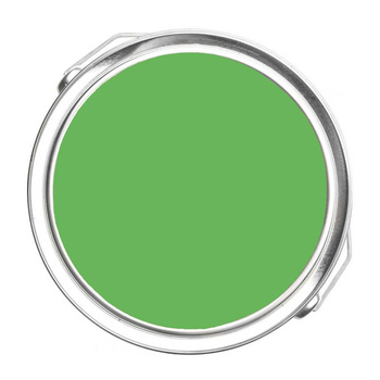 559 - Paradise Valley Benjamin Moore