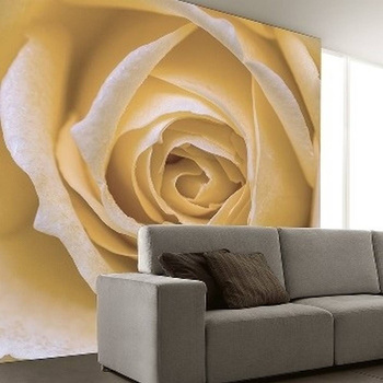 002_003 – fototapeta Taplab